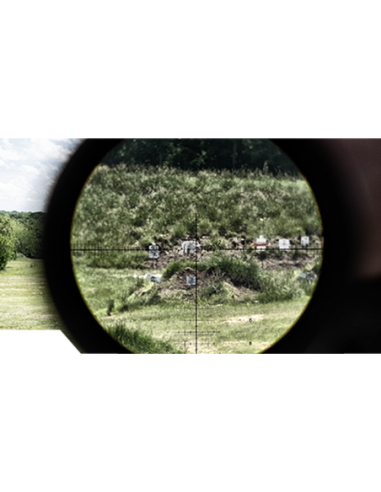 Visor BUSHNELL ELITE TACTICAL DMR3 3.5-21x50...