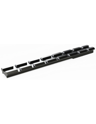 Carril POLI NICOLETTA - REM 700 LA